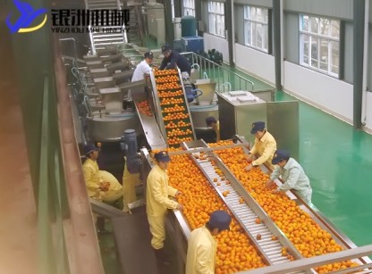 益生菌发酵技术解决果蔬加工难题